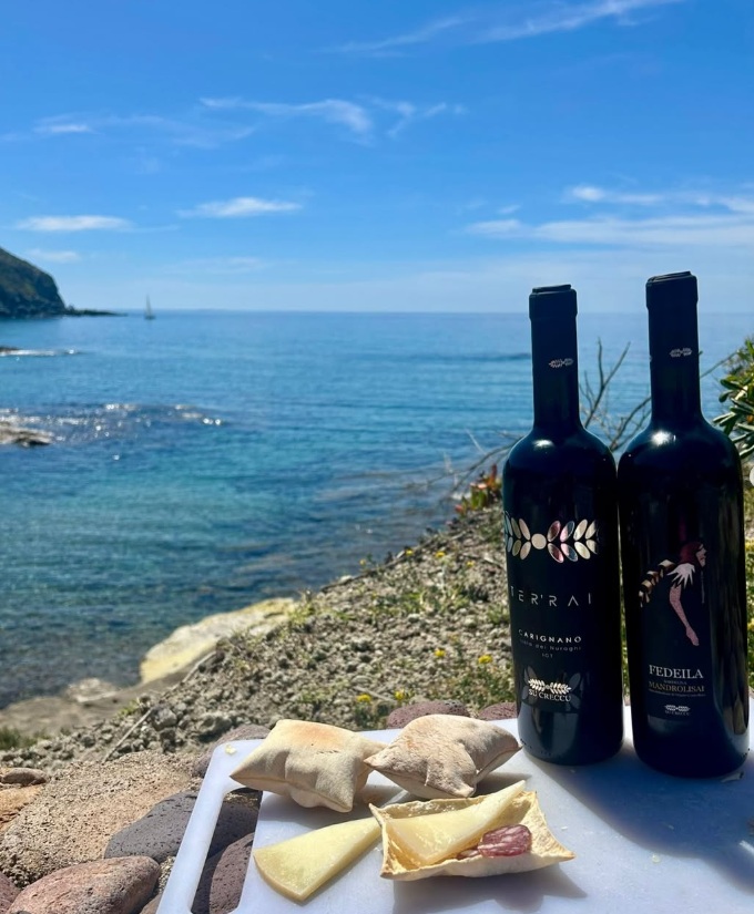 Vini Ter'Rai Carignano e Fedeila Mandrolisai con pane, formaggio e salame su tagliere bianco davanti al mare
